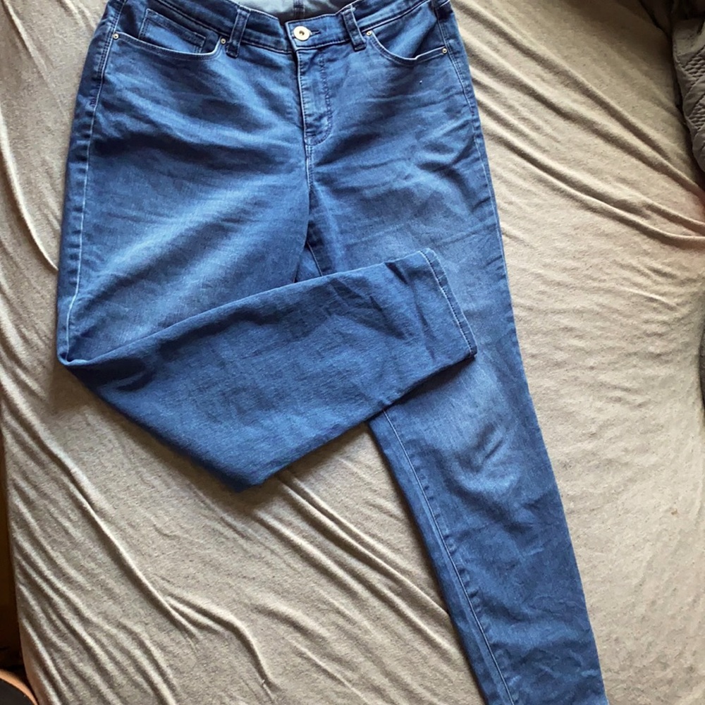 Style & co curvy skinny legs